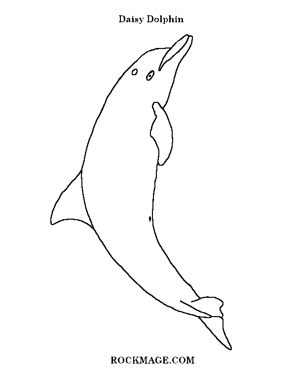 [Dolphin/Daisy (pattern)]
